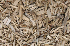 biomass boilers Elphinstone